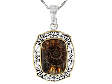 Brown Ammonite Shell Rhodium & 18k Yellow Gold Over Silver Two-Tone Enhancer With Chain