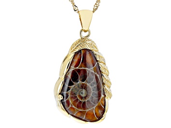 Picture of Ammonite Shell 18k Yellow Gold Over Sterling Silver Pendant With Chain