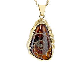 Ammonite Shell 18k Yellow Gold Over Sterling Silver Pendant With Chain