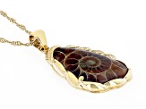 Ammonite Shell 18k Yellow Gold Over Sterling Silver Pendant With Chain
