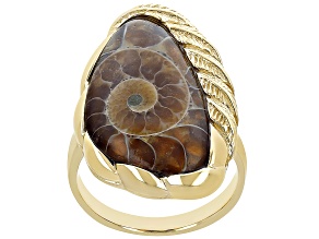 Ammonite Shell 18k Yellow Gold Over Sterling Silver Ring