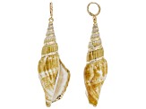 Multicolor Seashell Simulant Gold Tone Dangle Earrings