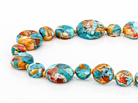 Blended Turquoise and Spiny Oyster Shell Bead Strand Necklace