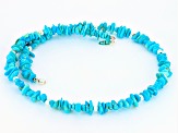 Blue Sleeping Beauty Turquoise Sterling Silver Choker Necklace