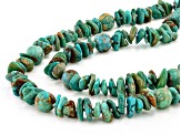 Multi-Color Turquoise Chip and Beaded Strand Necklace