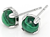 Green Malachite Platinum Over Sterling Silver Stud Earrings with Box