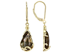 Gray Labradorite 18k Yellow Gold Over Sterling Silver Earrings