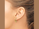 14k Yellow Gold 11/16 inch Polished and Textured Two Row J-Hoop Earrings