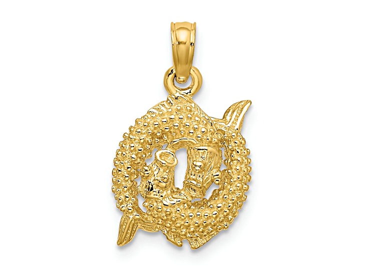 14k Yellow Gold 3D Textured Pisces Zodiac pendant