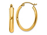 14k Yellow Gold Polished 1" Oval Tube Hoop Earrings