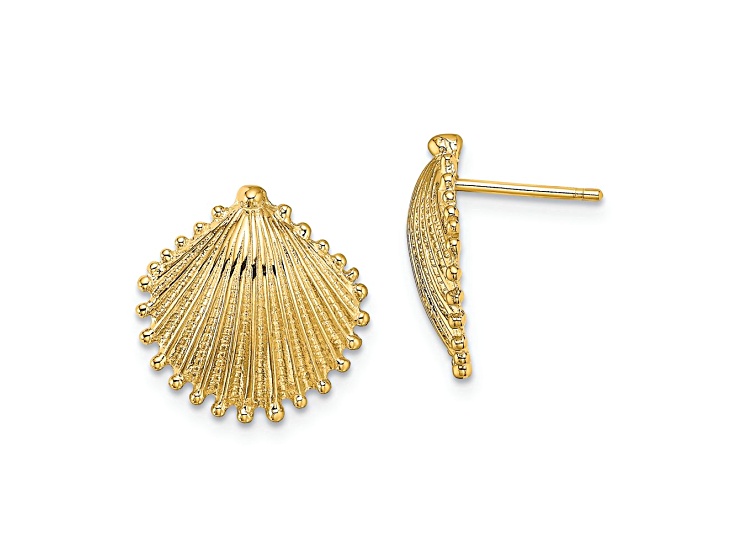 14K Yellow Gold Textured Scallop Shell Stud Earrings