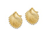14K Yellow Gold Textured Scallop Shell Stud Earrings