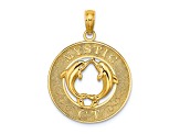 14k Yellow Gold Textured MYSTIC CT Dolphins Charm