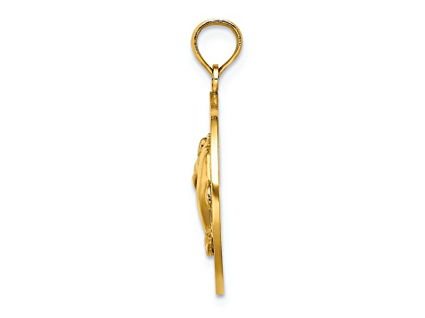 14k Yellow Gold Textured MYSTIC CT Dolphins Charm