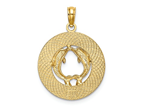14k Yellow Gold Textured MYSTIC CT Dolphins Charm