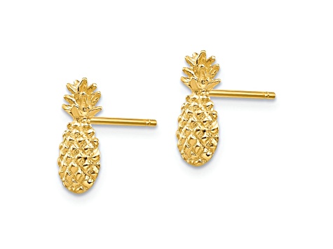 10k Yellow Gold Polished and Textured Pineapple Stud Earrings