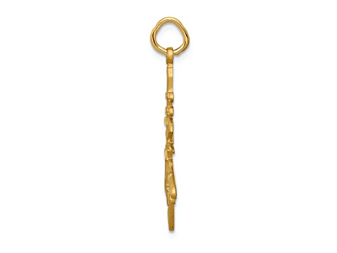 14k Yellow Gold Satin and Diamond-Cut Long Life Pendant