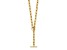 14K Yellow Gold Paperclip Y-drop 24-inch Toggle Necklace