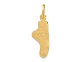14k Yellow Gold Diamond-Cut and Brushed Ballet Slipper Charm