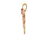 14k Yellow Gold and 14k Rose Gold Satin Small Double Girls Charm
