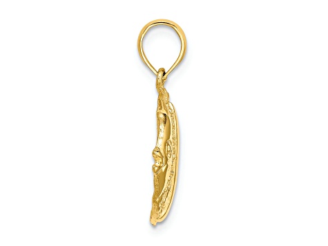 14k Yellow Gold Polished and Textured Fish Charm