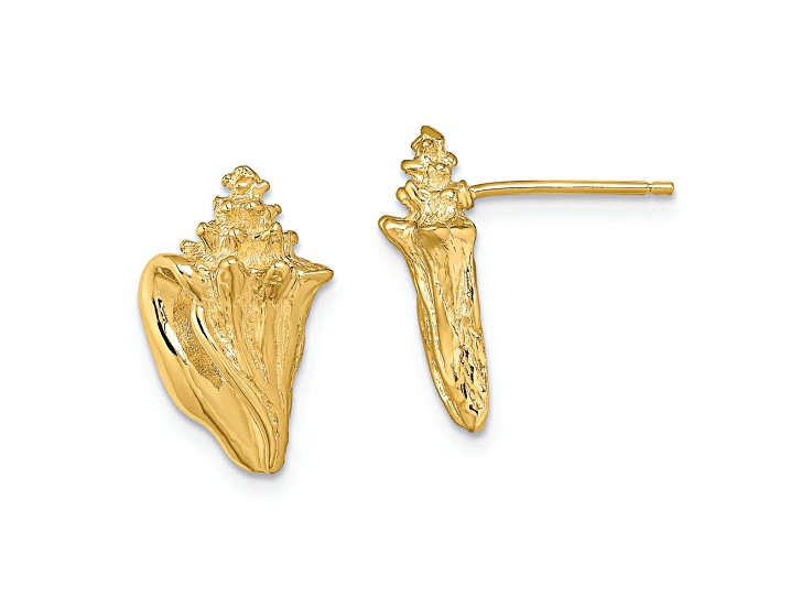 14k Yellow Gold Textured Conch Shell Stud Earrings