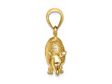 14k Yellow Gold Textured 3D Armadillo Charm