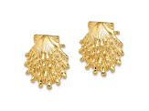 14k Yellow Gold Textured Lion's Paw Shell Stud Earrings