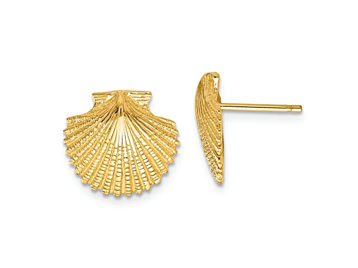 14k Yellow Gold 13mm Textured Scallop Shell Stud Earrings