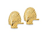 14k Yellow Gold 13mm Textured Scallop Shell Stud Earrings