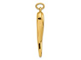 14k Yellow Gold Polished Hollow Italian Horn Pendant