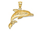 14k Yellow Gold Polished and Textured Open Mouth Dolphin Charm