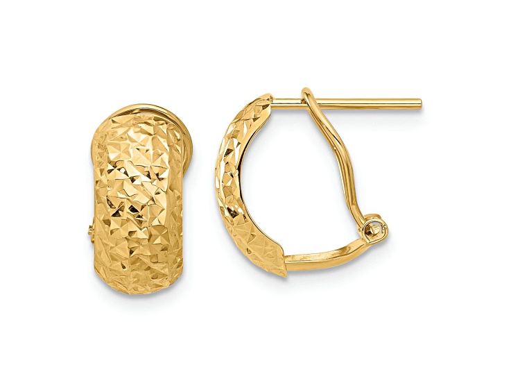 14K Yellow Gold Polished and Diamond-Cut Earrings