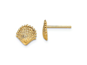 14k Yellow Gold Textured Scallop Shell Stud Earrings