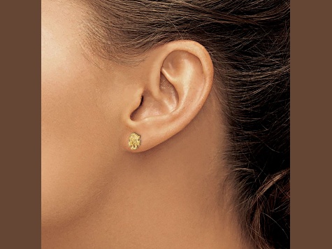 14k Yellow Gold Textured Mini Sand Dollar Post Earrings