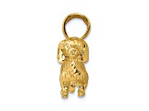 14k Yellow Gold Solid Polished and Textured 3D Wire Haired Dachshund Pendant