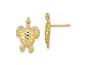 14K Yellow Gold Polished and Textured Sea Turtle Stud Earrings