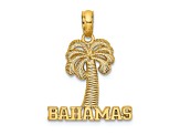 14k Yellow Gold Textured BAHAMAS Palm Tree Charm