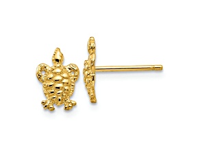 10k Yellow Gold Textured Mini Turtle Stud Earrings