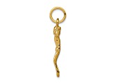 14K Yellow Gold Corpus Charm