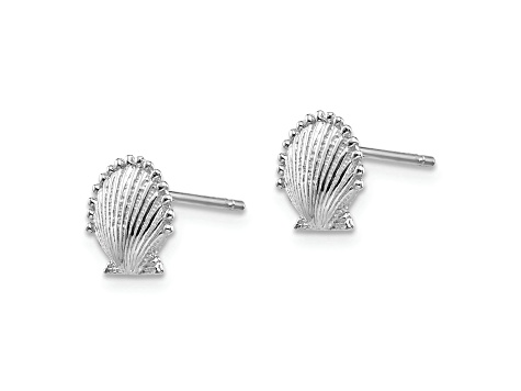 Rhodium Over 14K White Gold Textured Scallop Shell Stud Earrings