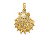 14k Yellow Gold Textured Lions Paw Shell Pendant