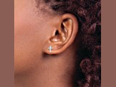 Rhodium Over 14k White Gold Polished Cross Stud Earrings