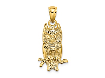 Picture of 14k Yellow Gold Textured Owl Charm