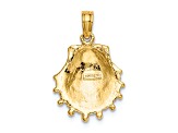 14k Yellow Gold Textured Lion's Paw Shell Pendant