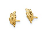 14k Yellow Gold Children's Textured Leaf Stud Earrings