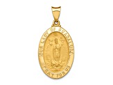 14k Yellow Gold Polished and Satin Our Lady Guadalupe Medal Pendant