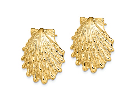 14k Yellow Gold Textured Lion's Paw Shell Post Earrings