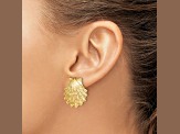 14k Yellow Gold Textured Lion's Paw Shell Post Earrings