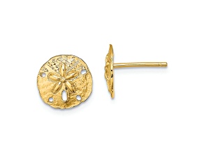 14k Yellow Gold 9.1mm Polished and Textured Mini Sand Dollar Stud Earrings